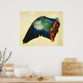 WING AN EUROPEAN ROLLER Durer Poster (Küche)
