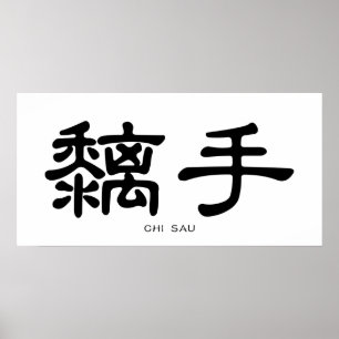 Wing Chun Chi Sau Chinesische Kalligrafie Poster