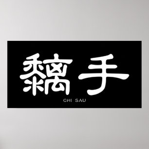 Wing Chun Chi Sau White Chinese Calligraphy Poster