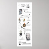 Wing Chun Kung Fu Lineage Tree - IP Man Poster (Vorne)