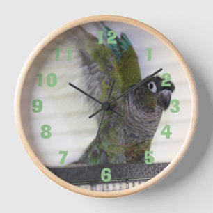 Wing Ding Watch Uhr