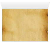 WING FEATHERS OF THE EUROPEAN ROLLER (Innenansicht Horizontal (Unten))