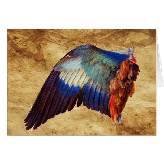 WING FEATHERS OF THE EUROPEAN ROLLER (Vorderseite (Horizontal))