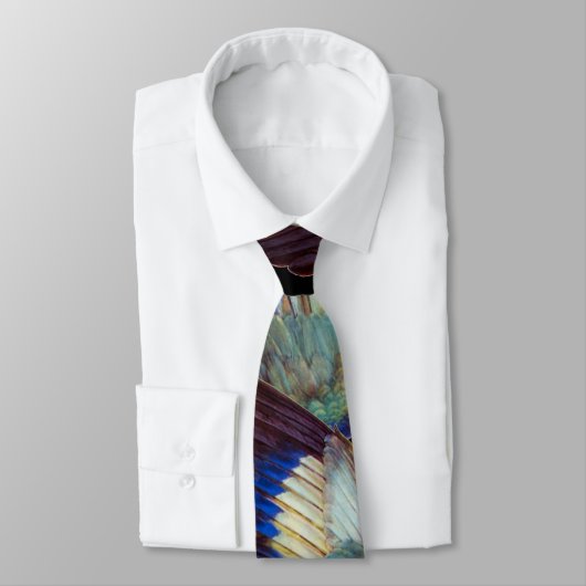 WING FEATHERS OF THE EUROPEAN ROLLER KRAWATTE (Gebunden)