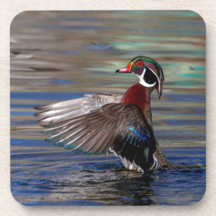 Wing Flapping Wood Duck Getränkeuntersetzer