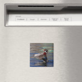 Wing Flapping Wood Duck Magnet (In Situ (Geschirrspüler))