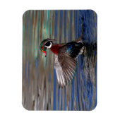 Wing Flapping Wood Duck Magnet (Vertikal)