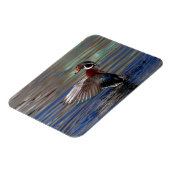 Wing Flapping Wood Duck Magnet (Linke Seite)