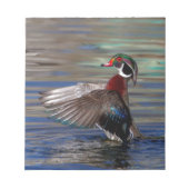 Wing Flapping Wood Duck Notizblock (Vorderseite)