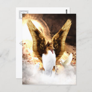 Winged Collie Angel im Hund Postkarte