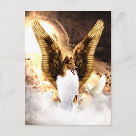 Winged Collie Angel im Hund Postkarte (Vorderseite)