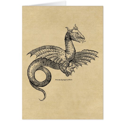 Winged Dragon (Vorne)