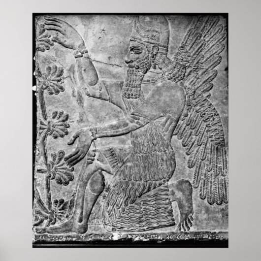 Winged Genie, der den heiligen Baum verehrt Poster (Vorne)