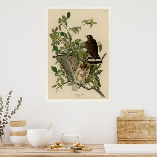 Winged Hawk Poster (Küche)