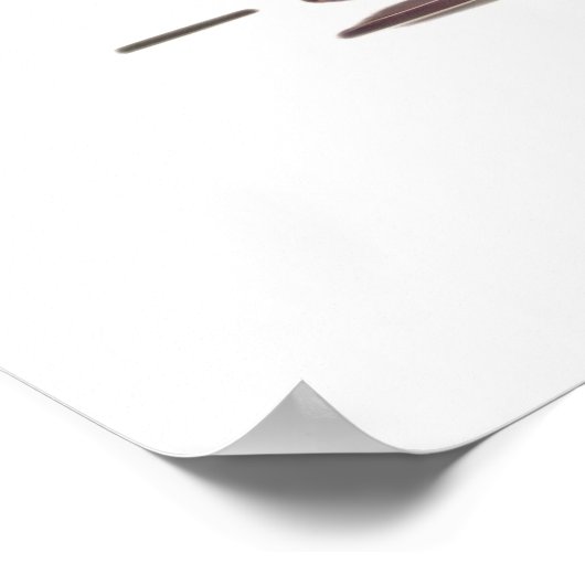 Winged Mushroom Samurai Poster (Ecke)