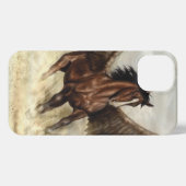 Winged Pegasus  iPhone Hülle (Rückseite (Horizontal))