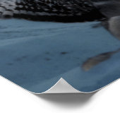 Winged Wolf Poster (Ecke)