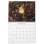 Wingpics Lied-Vogel-Kalender 2012 Kalender (Feb 2027)