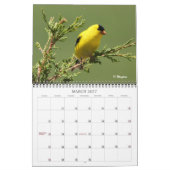 Wingpics Lied-Vogel-Kalender 2012 Kalender (Mär 2027)