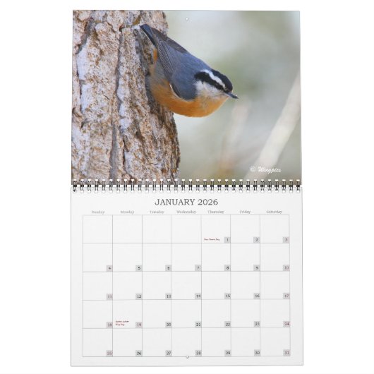 Wingpics Lied-Vogel-Kalender 2012 Kalender (Jan 2026)