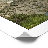 Wings As Eagles Isaiah 40:31 Poster (Ecke)