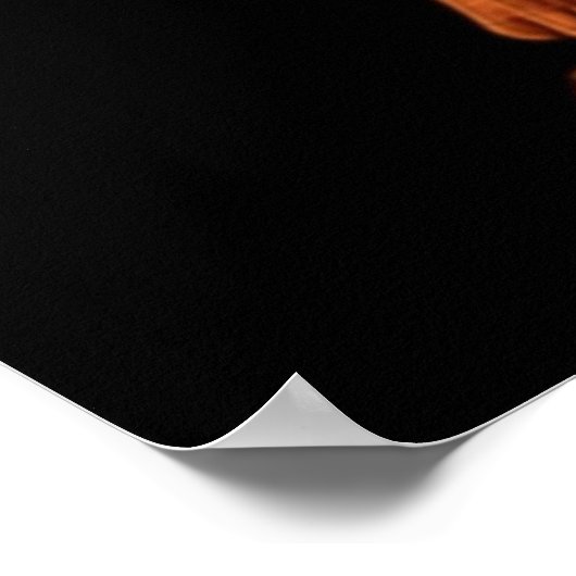 Wings fire Jade Winglet Dragonets Moonwatcher Win Poster (Ecke)