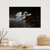 Wings überdehnte Swan Print Poster (Küche)