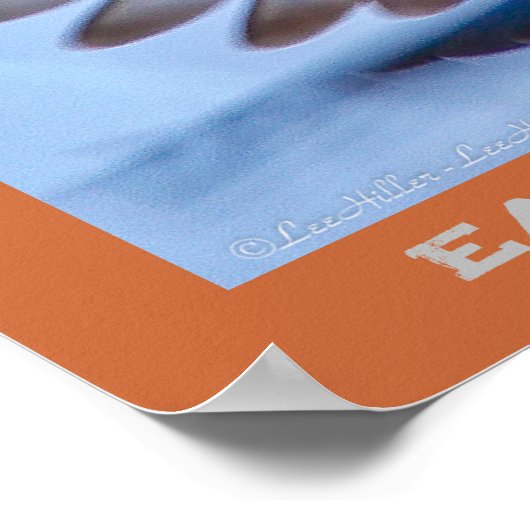 Wings Up Eastern Bluebird Vogelbeobachter Poster (Ecke)