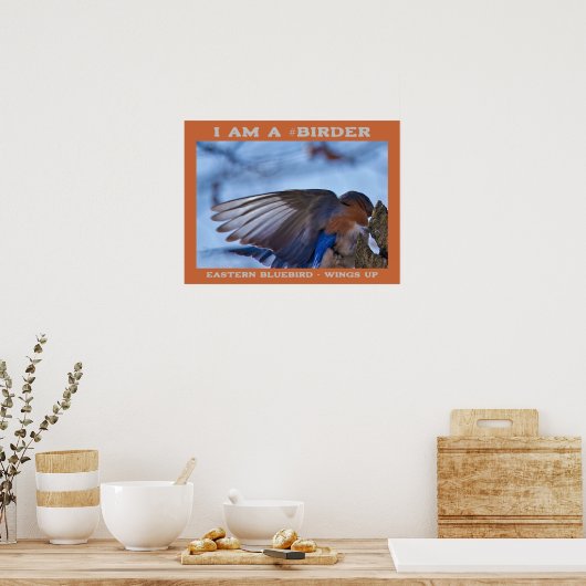 Wings Up Eastern Bluebird Vogelbeobachter Poster (Küche)