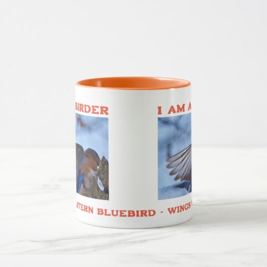 Wings Up Eastern Bluebird Vogelbeobachter Tasse (Zentrum)