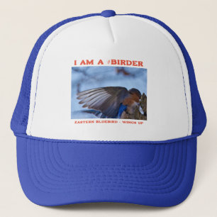 Wings Up Eastern Bluebird Vogelbeobachter Truckerkappe