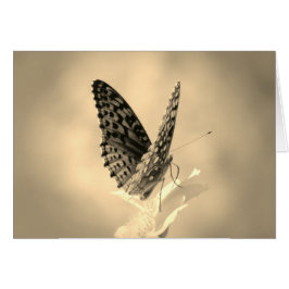 Wings Up - Fritillary Butterfly in sepia