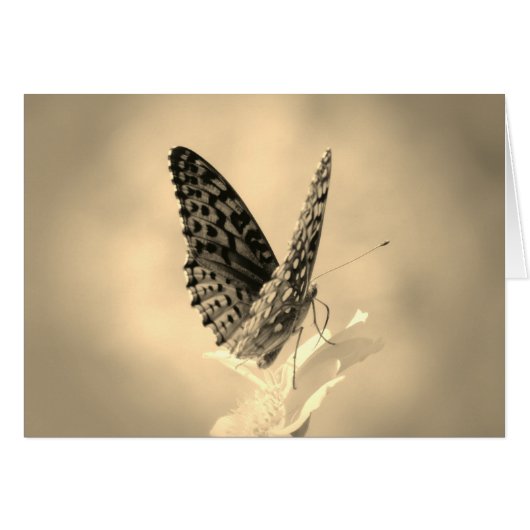 Wings Up - Fritillary Butterfly in sepia (Vorderseite (Horizontal))