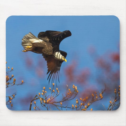 Wingshadow Mousepad (Vorne)