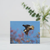 Wingshadow Postkarte (Stehend Vorderseite)