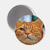 Wink kitty magnet (Vorderseite/Rückseite)