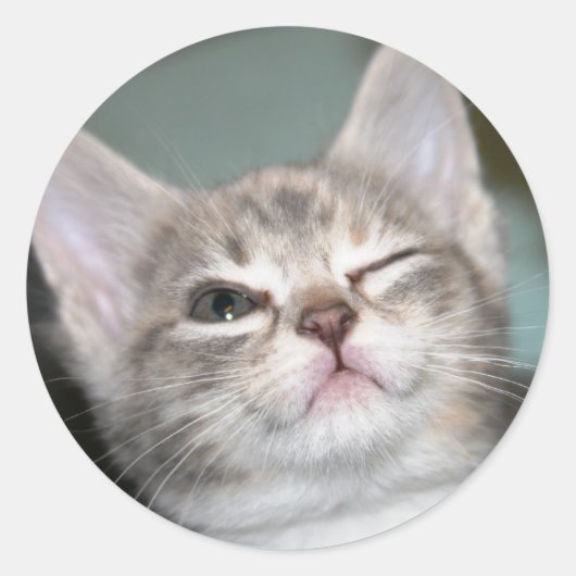 *wink* runder aufkleber (Vorderseite)