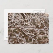 Winkel der Eiszweige Postkarte (Vorne/Hinten)