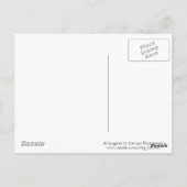 Winkel der Eiszweige Postkarte (Rückseite)