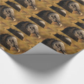 Winkel u. Ritzen Geschenkpapier (Ecke)