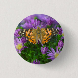 Winkelflügel-Schmetterling auf Kegelblume Button