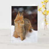 Winking Eichhörnchen Karte (Gelbe Blume)