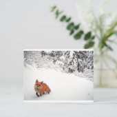 Winking Fox Postkarte (Stehend Vorderseite)