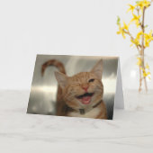 Winking Happy Ginger Cat Birthday Karte (Gelbe Blume)