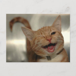 Winking Happy Ginger Cat Postkarte