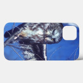 Winking owl Case-Mate iPhone hülle (Rückseite (Horizontal))