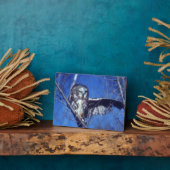 Winking owl fotoplatte (Seite)