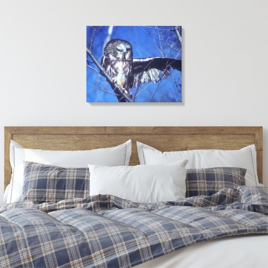 Winking owl leinwanddruck (Insitu (Schlafzimmer))