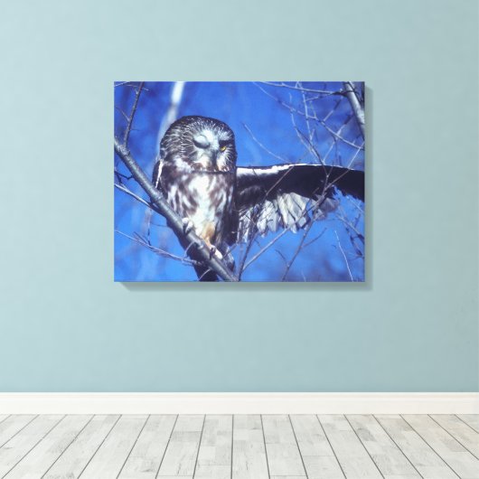 Winking owl leinwanddruck (Insitu (Holzboden))