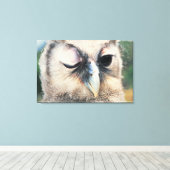 Winking Owl Leinwanddruck (Insitu (Holzboden))